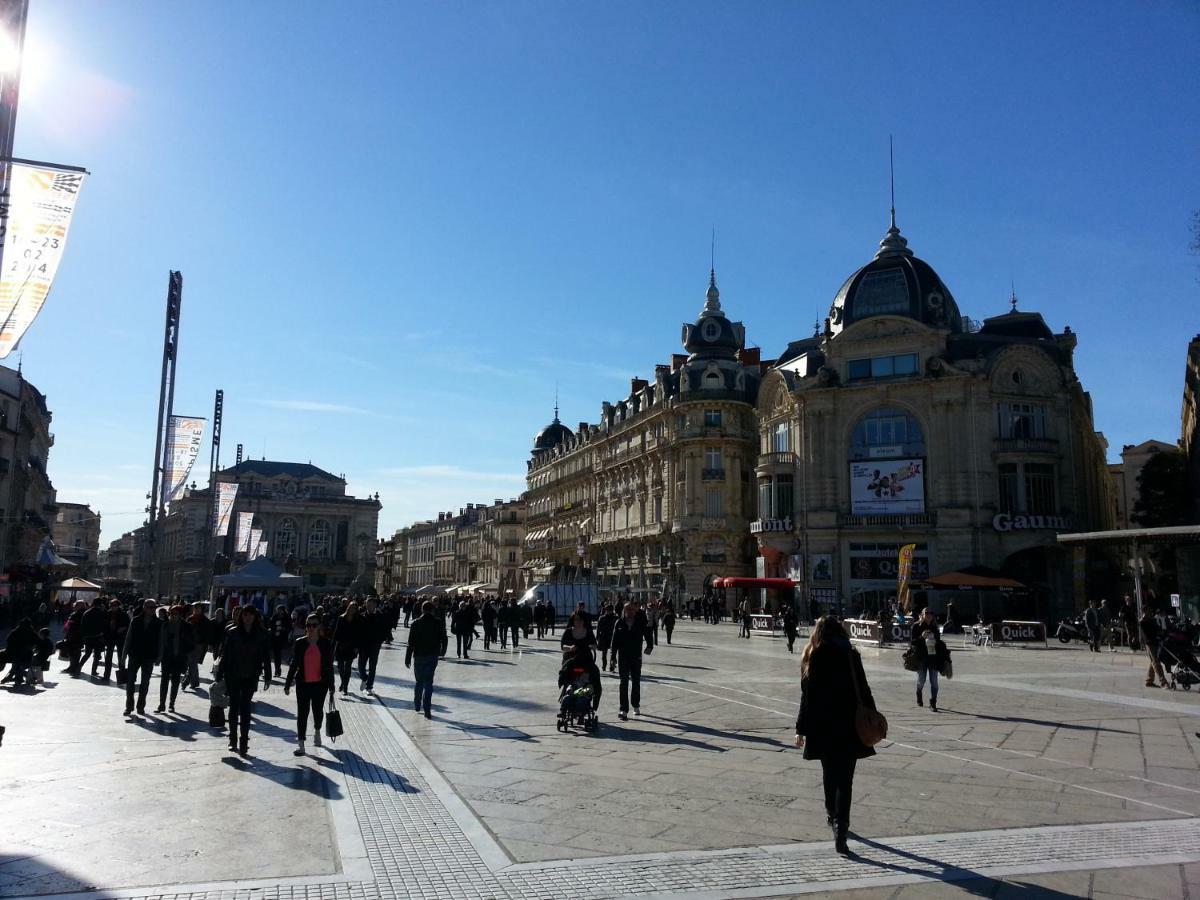 Chambre Montpellier Campanules 아파트 외부 사진