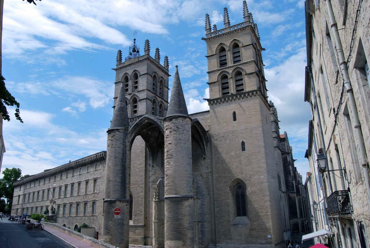 Chambre Montpellier Campanules 아파트 외부 사진